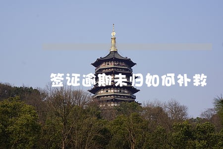 签证逾期未归如何补救 签证逾期未归如何补救