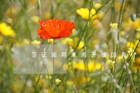 签证逾期未离开该国有什么后果 签证逾期未离开该国有什么后果