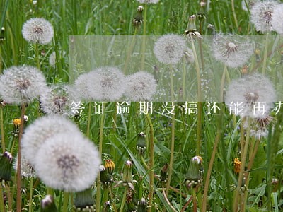 签证逾期没搞还能再办吗 签证逾期没搞还能再办吗