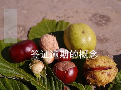 签证逾期的概念 签证逾期的概念