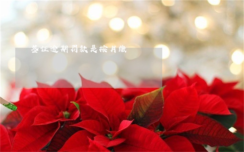 签证逾期罚款是按月缴 签证逾期罚款是按月缴