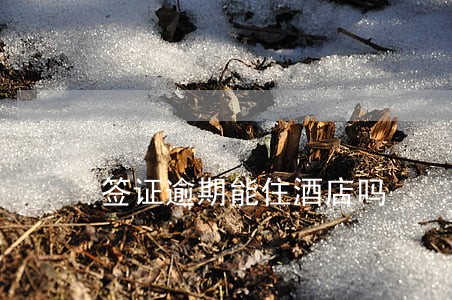 签证逾期能住酒店吗 签证逾期能住酒店吗