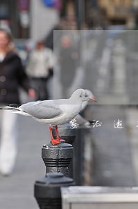 签证逾期能出境吗 签证逾期能出境吗