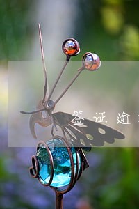 签证逾期能搭飞机吗 签证逾期能搭飞机吗