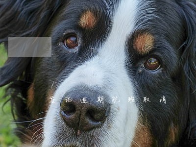 签证逾期航班取消 签证逾期航班取消