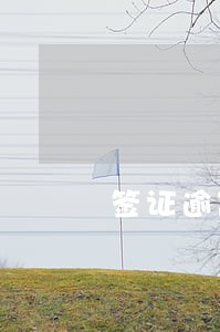 签证逾期补签需要多久 签证逾期补签需要多久