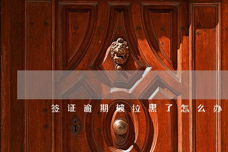 签证逾期被拉黑了怎么办 签证逾期被拉黑了怎么办