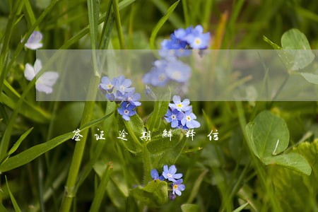 签证逾期解释信 签证逾期解释信