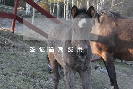签证逾期费用 签证逾期费用