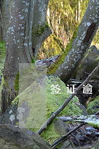 签证逾期边境罗湖处罚出境 签证逾期边境罗湖处罚出境