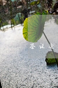 签证逾期过关被扣押 签证逾期过关被扣押
