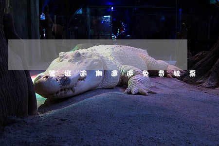签证逾期遣返免费机票