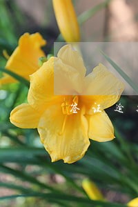 签证逾期飞第三国 签证逾期飞第三国