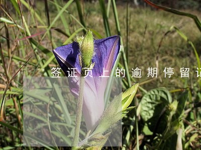 签证页上的逾期停留记录 签证页上的逾期停留记录