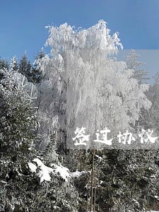 签过协议到搬迁多长时间不算逾期 签过协议到搬迁多长时间不算逾期