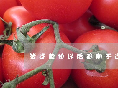 签还款协议后逾期不还 签还款协议后逾期不还