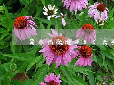 简单借款逾期80天会怎么样 简单借款逾期80天会怎么样