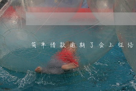 简单借款逾期了会上征信吗 简单借款逾期了会上征信吗
