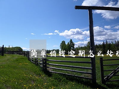 简单借钱逾期怎么处理 简单借钱逾期怎么处理