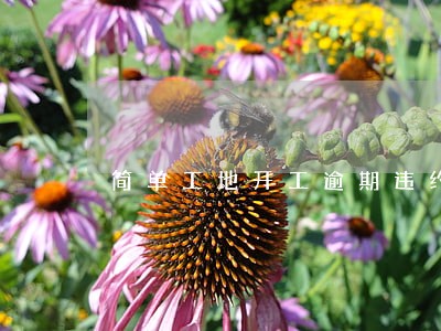简单工地开工逾期违约合同 简单工地开工逾期违约合同