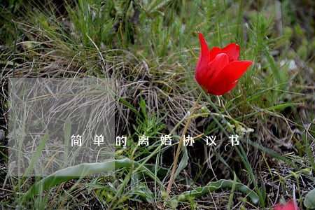 简单的离婚协议书 简单的离婚协议书