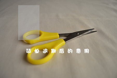 简单逾期后的费用 简单逾期后的费用