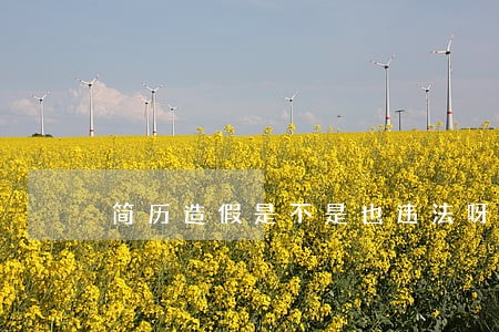 简历造假是不是也违法呀 简历造假是不是也违法呀