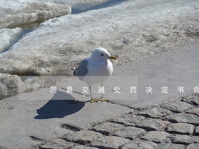 简易交通处罚决定书会逾期吗 简易交通处罚决定书会逾期吗