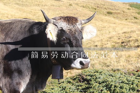 简易劳动合同法范本 简易劳动合同法范本
