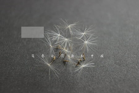 简易处罚逾期申报