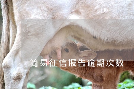 简易征信报告逾期次数 简易征信报告逾期次数
