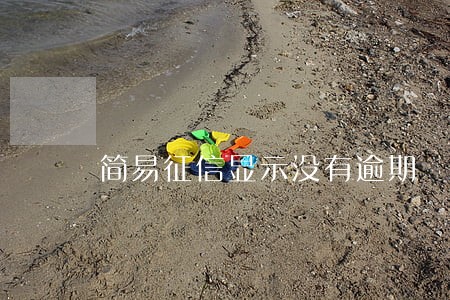简易征信显示没有逾期
