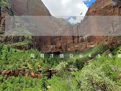 简易注销公示45天逾期 简易注销公示45天逾期