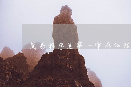 简易程序是第一审诉讼程序 简易程序是第一审诉讼程序