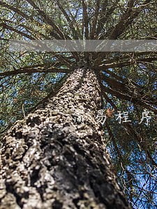 简易程序诉讼费怎么退 简易程序诉讼费怎么退