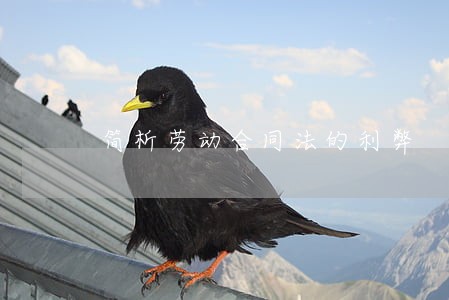 简析劳动合同法的利弊 简析劳动合同法的利弊