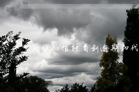 简版征信能看到逾期和代偿记录 简版征信能看到逾期和代偿记录