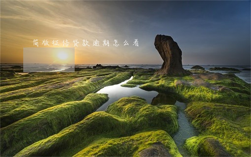 简版征信贷款逾期怎么看 简版征信贷款逾期怎么看
