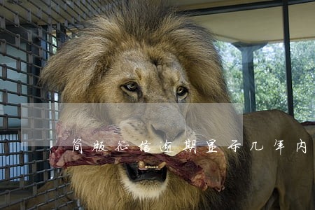 简版征信逾期显示几年内 简版征信逾期显示几年内