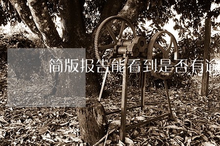 简版报告能看到是否有逾期吗 简版报告能看到是否有逾期吗