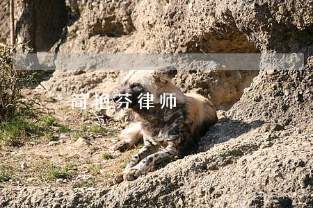 简艳芬律师