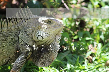 简融星点贷逾期后果