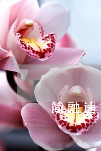 简融速贷逾期怎么办 简融速贷逾期怎么办