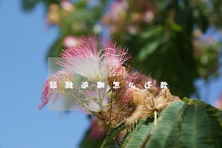 简融逾期怎么还款 简融逾期怎么还款