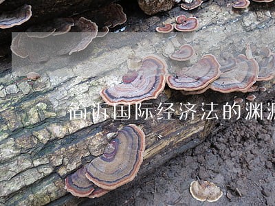 简诉国际经济法的渊源 简诉国际经济法的渊源