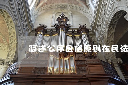 简述公序良俗原则在民法中的表现 简述公序良俗原则在民法中的表现