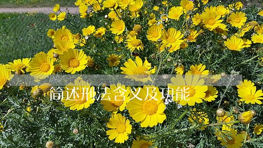 简述刑法含义及功能 简述刑法含义及功能