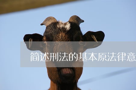 简述刑法的基本原法律意识 简述刑法的基本原法律意识