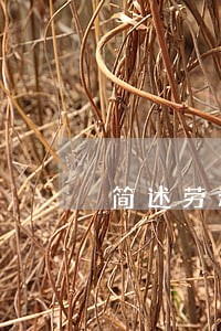 简述劳动争议诉讼的程序