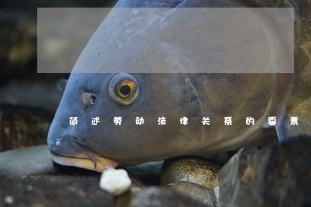 简述劳动法律关系的要素